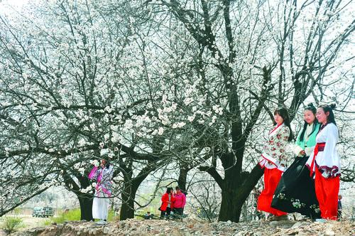 NBA经典比赛回放